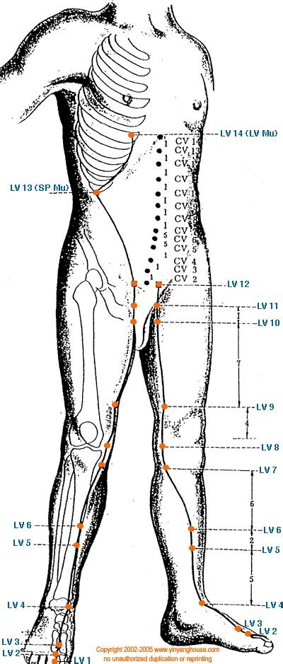 lv 10 acupuncture point|liver meridian symptoms.